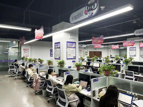 揚(yáng)州天貓國(guó)際自營(yíng)服務(wù)中心迎咨詢高峰，300名大學(xué)生支援客服工作